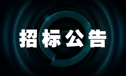 哈哈体育国际中心工程检测和监测服务招标公告